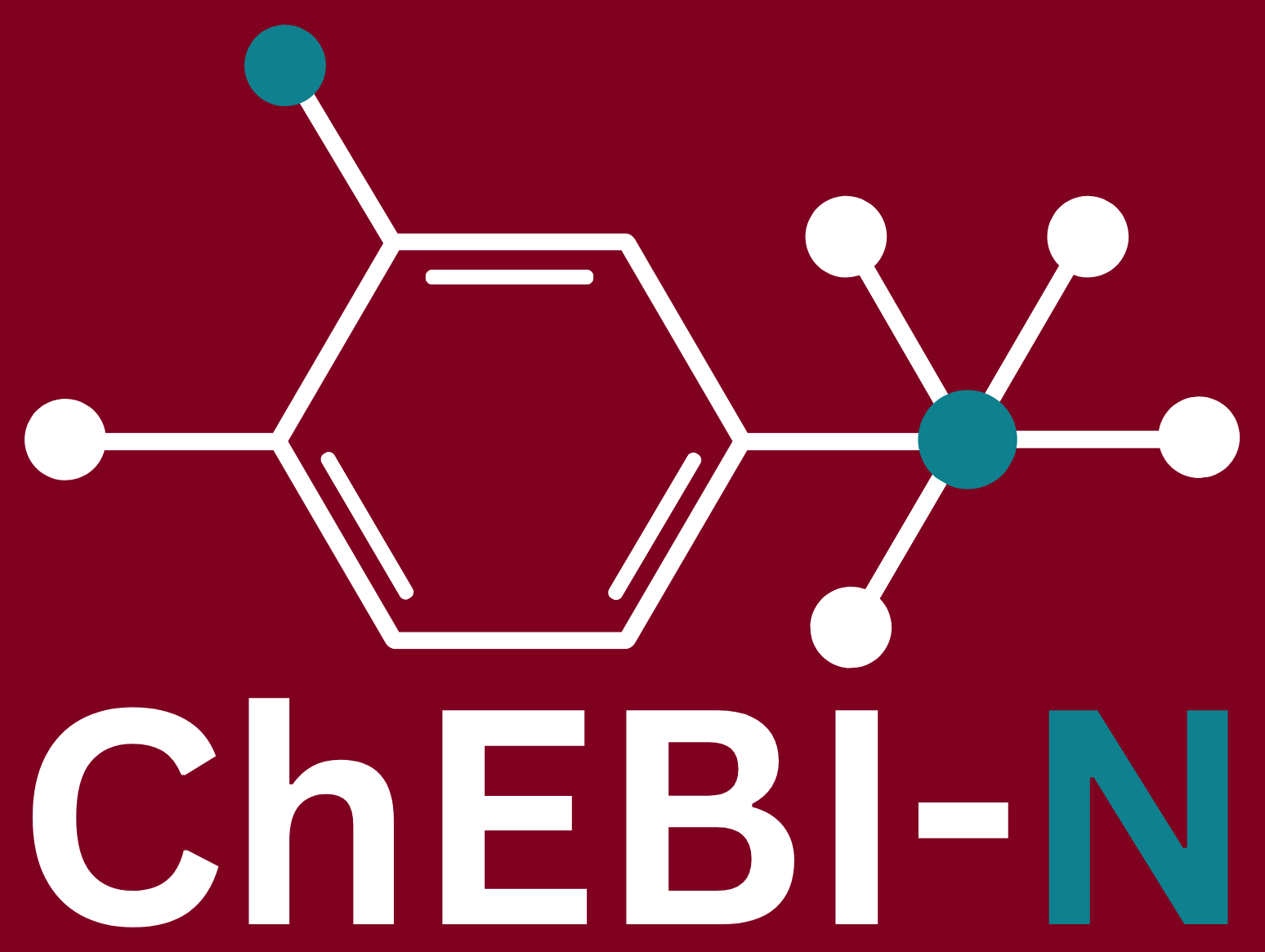 ChEBI-N home